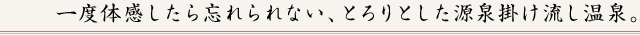 一度体感したら忘れられない、とろりとした源泉掛け流し温泉。
