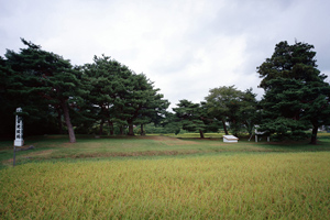 無量光院跡