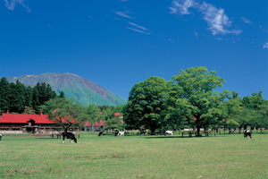 小岩井農場